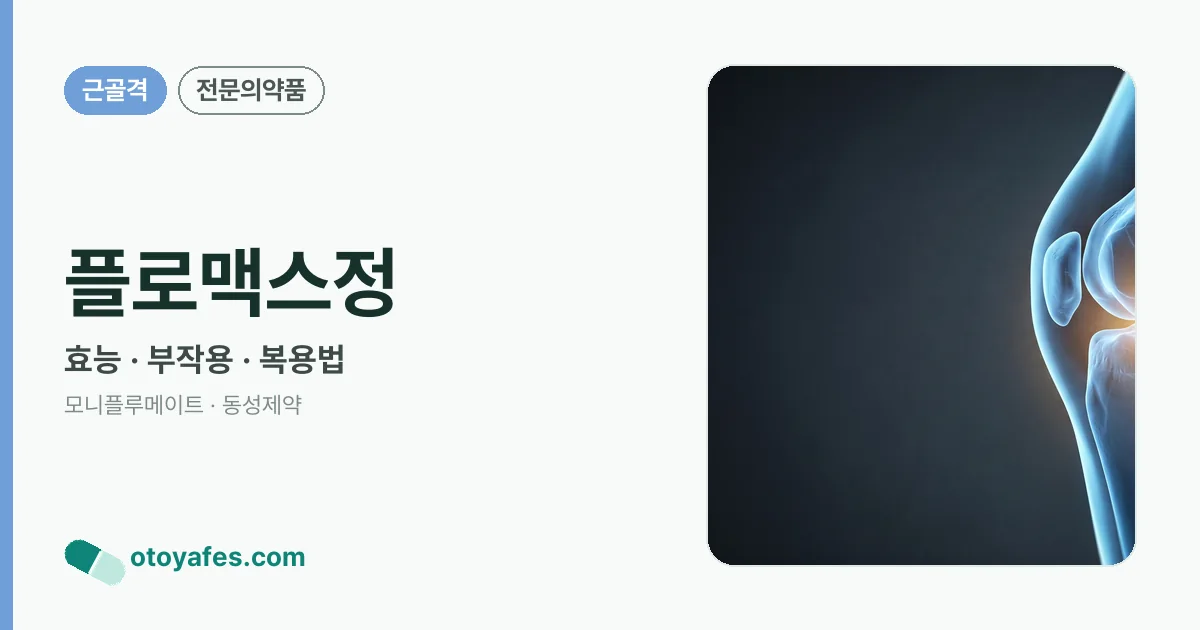 플로맥스정 정리 썸네일