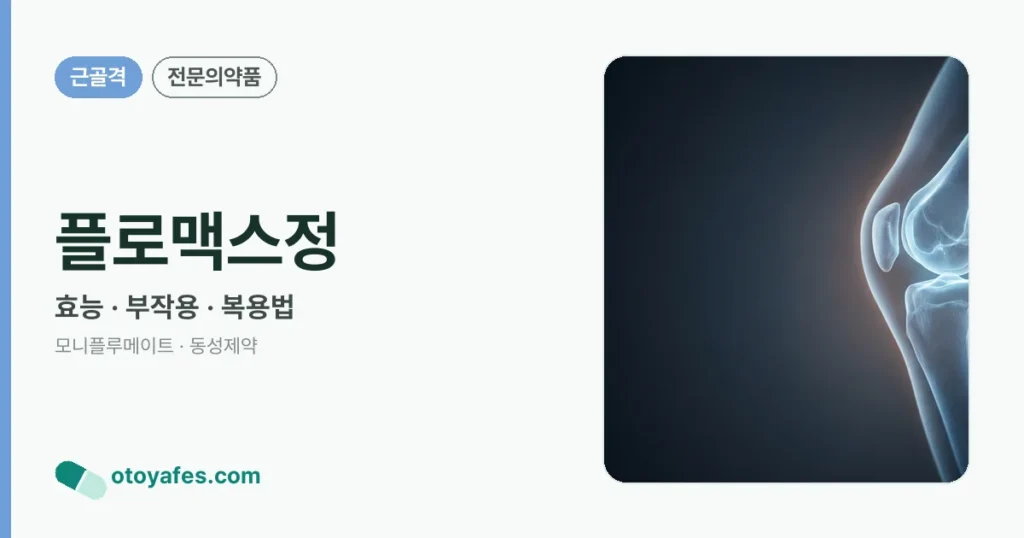 플로맥스정 정리 썸네일
