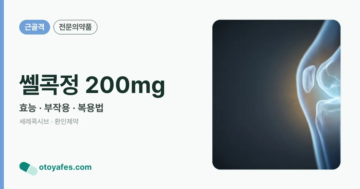 쎌콕정 200mg 정리 썸네일