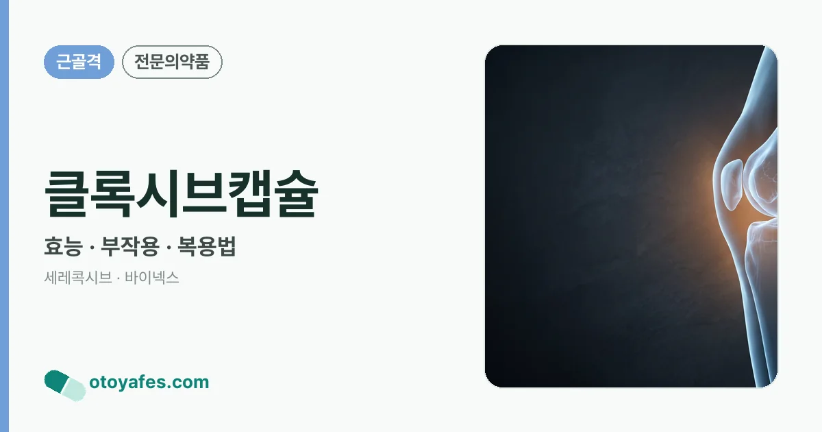 클록시브캡슐 정리 썸네일