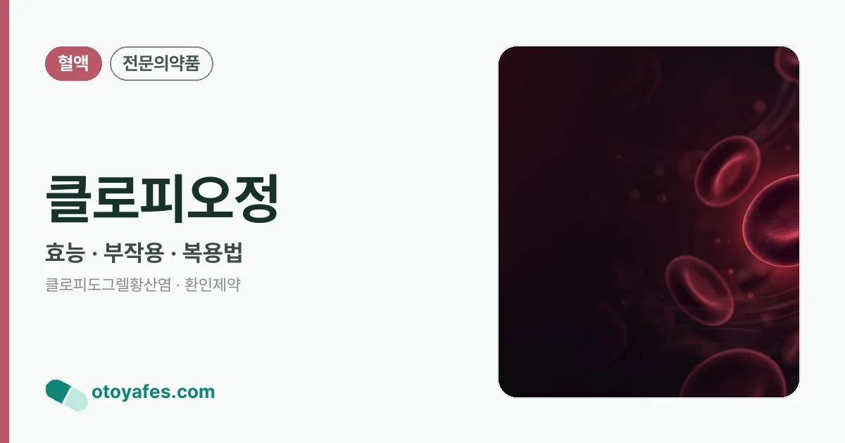 클로피오정 정리 썸네일