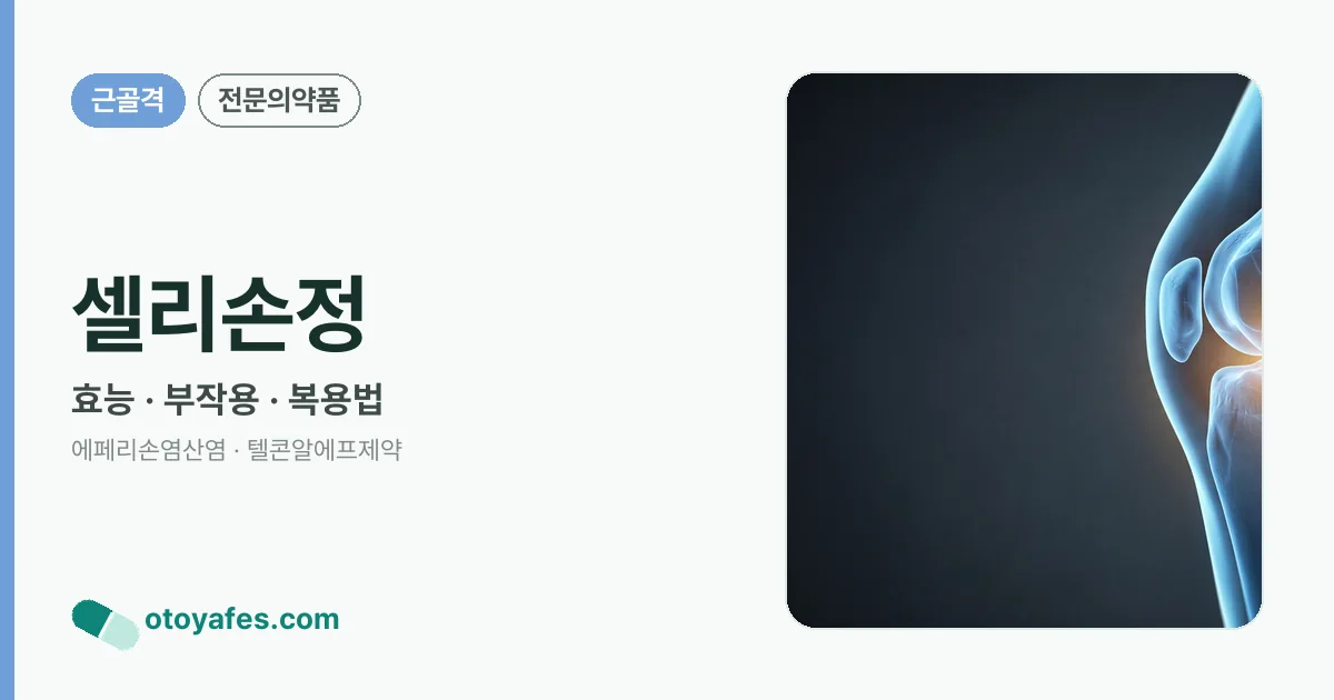 셀리손정 정리 썸네일