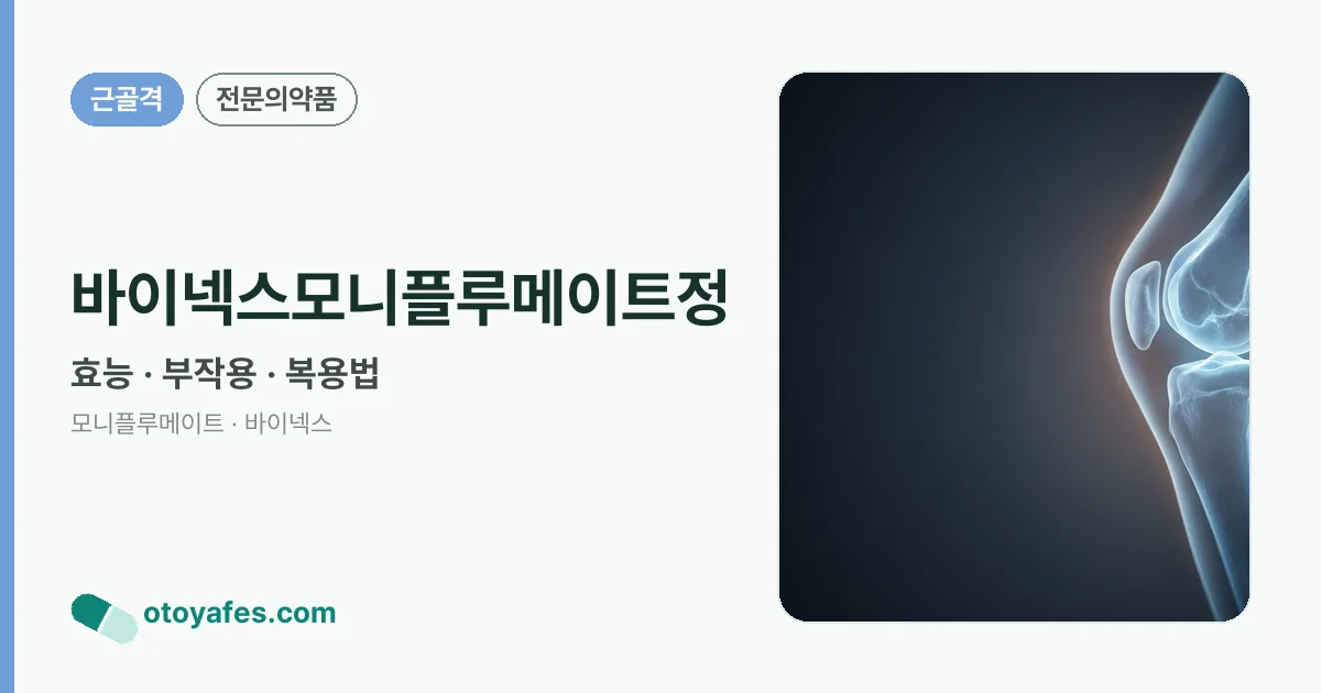 바이넥스모니플루메이트정 정리 썸네일