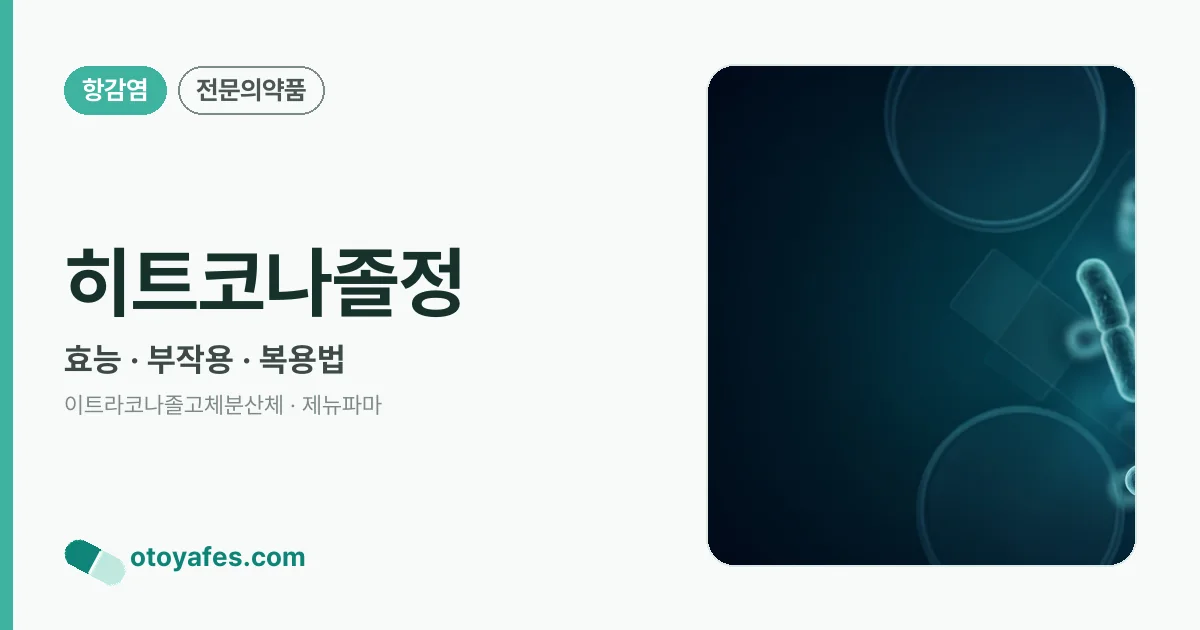 히트코나졸정 정리 썸네일