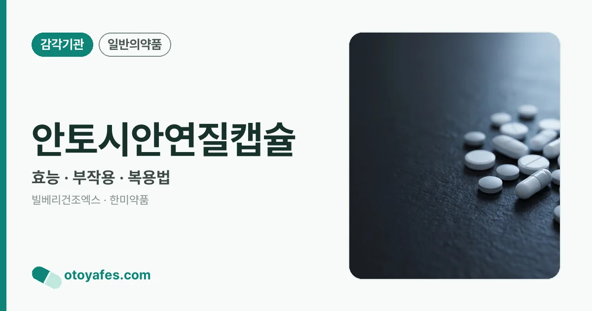 안토시안연질캡슐 정리 썸네일