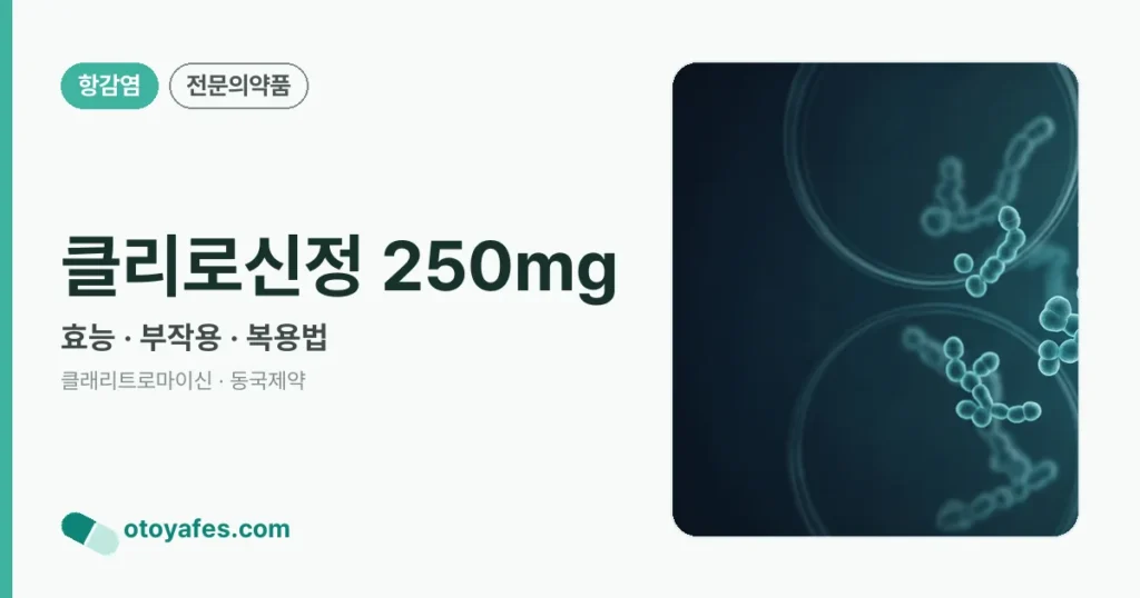 클리로신정 250mg 정리 썸네일