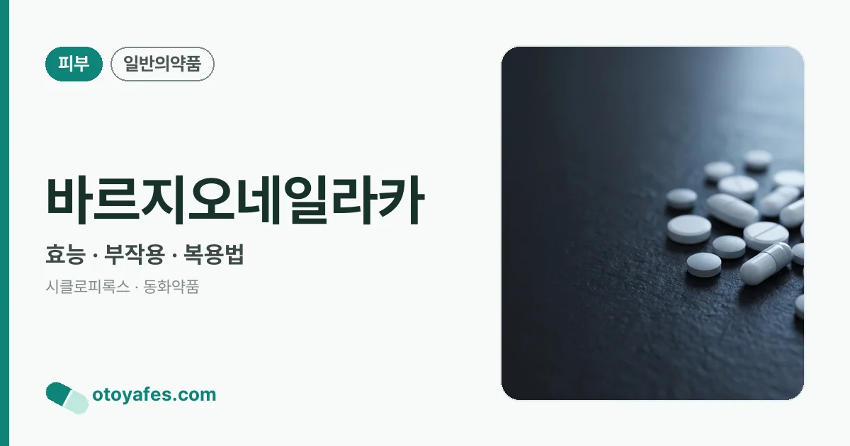 바르지오네일라카 정리 썸네일