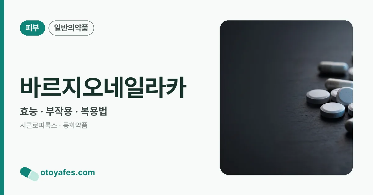 바르지오네일라카 정리 썸네일