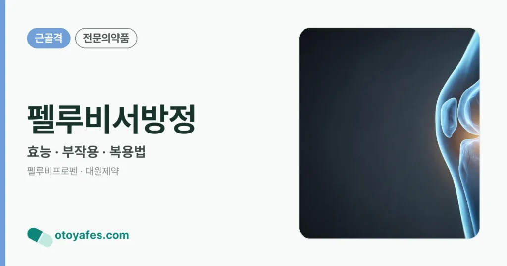 펠루비서방정 정리 썸네일