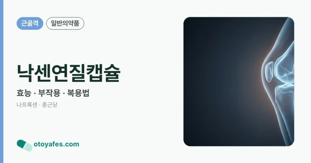 낙센연질캡슐 정리 썸네일