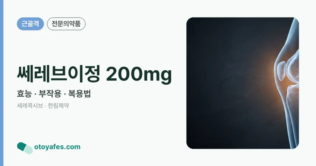 쎄레브이정 200mg 정리 썸네일