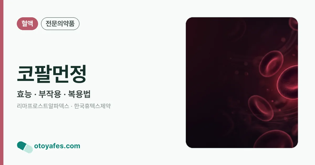 코팔먼정 정리 썸네일