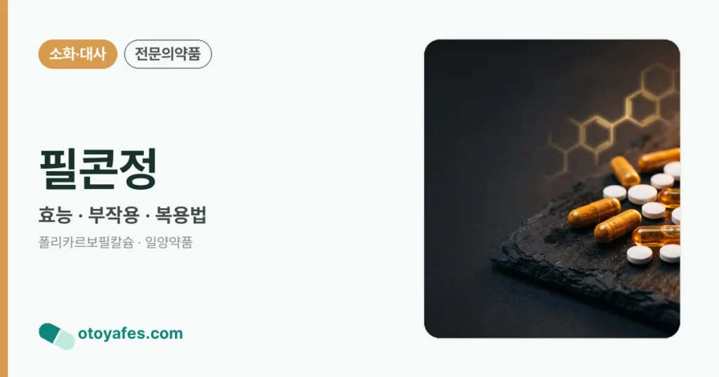 필콘정 정리 썸네일