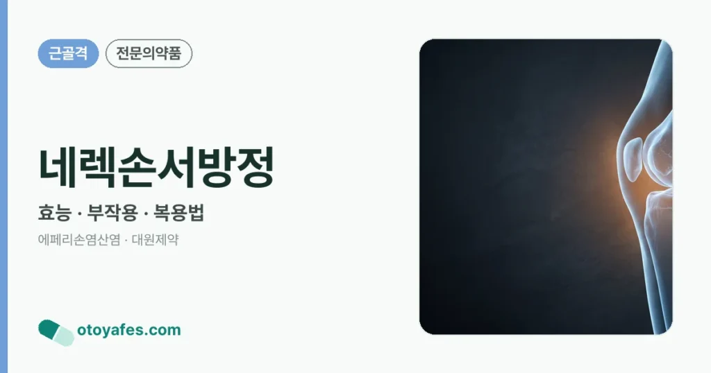 네렉손서방정 정리 썸네일