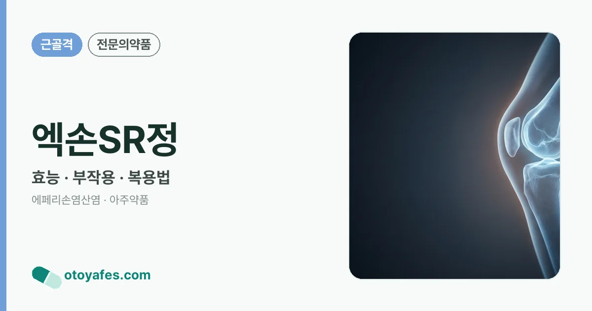 엑손SR정 정리 썸네일