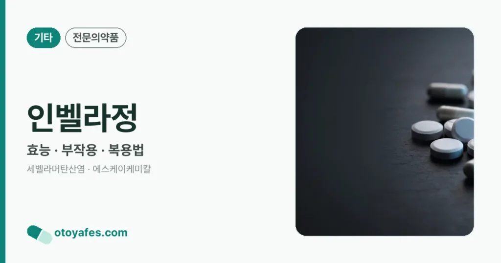 인벨라정 정리 썸네일