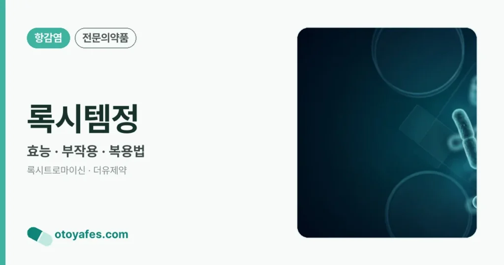 록시템정 정리 썸네일