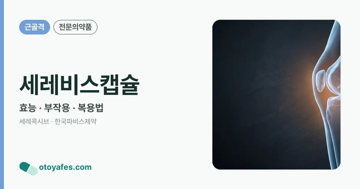 세레비스캡슐 정리 썸네일