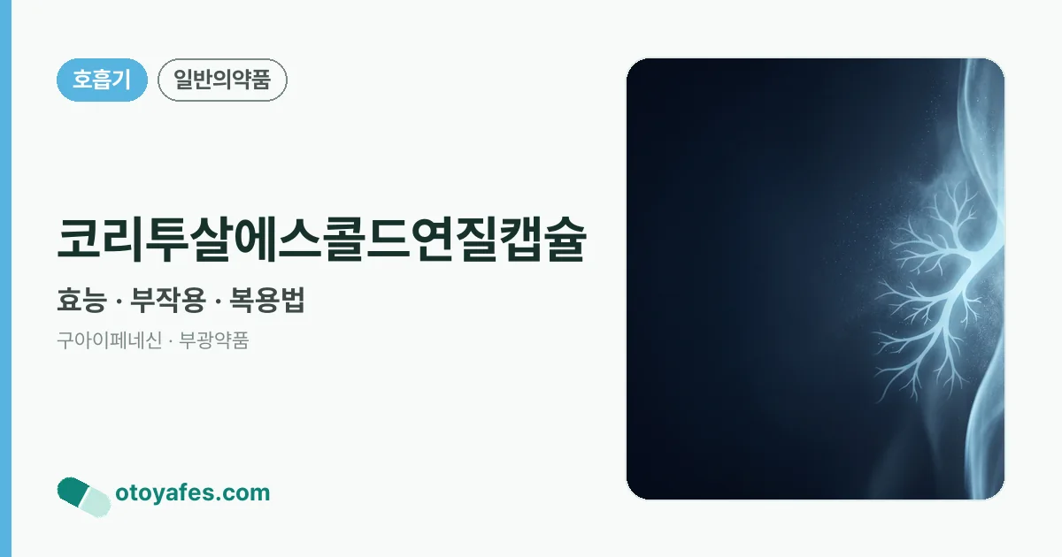 코리투살에스콜드연질캡슐 정리 썸네일