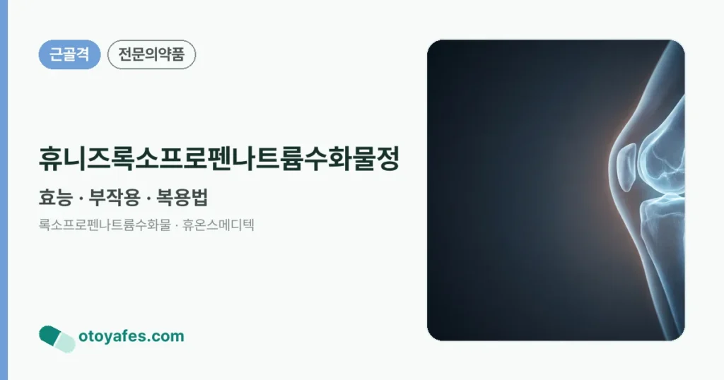 휴니즈록소프로펜나트륨수화물정 정리 썸네일