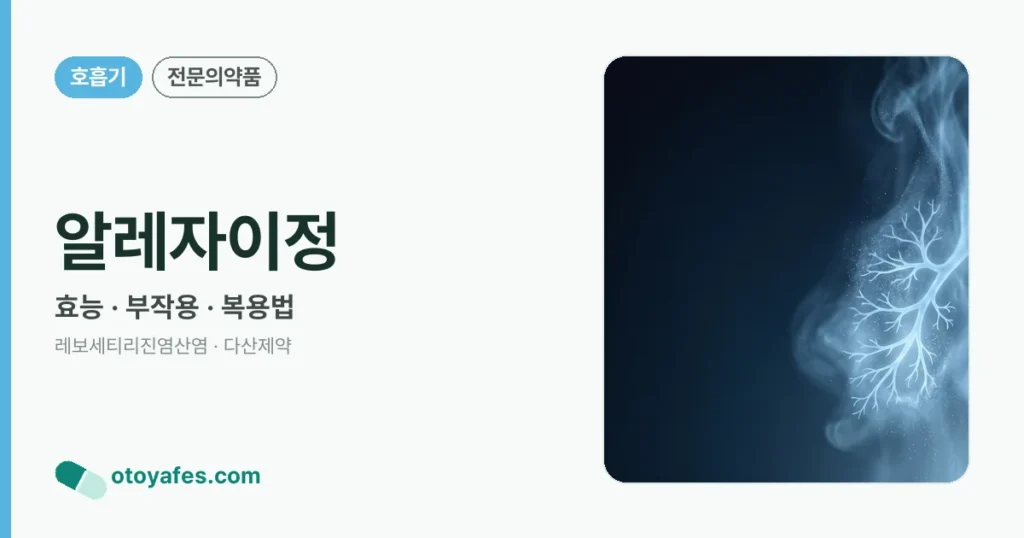 알레자이정 정리 썸네일