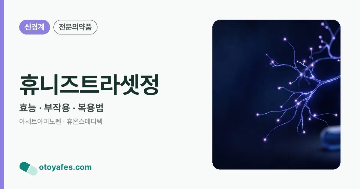 휴니즈트라셋정 정리 썸네일