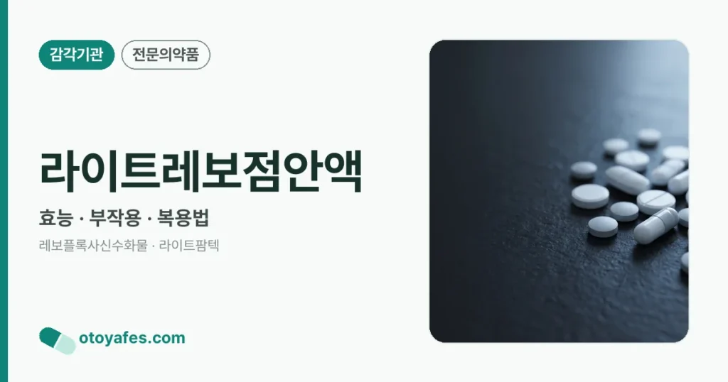 라이트레보점안액 정리 썸네일