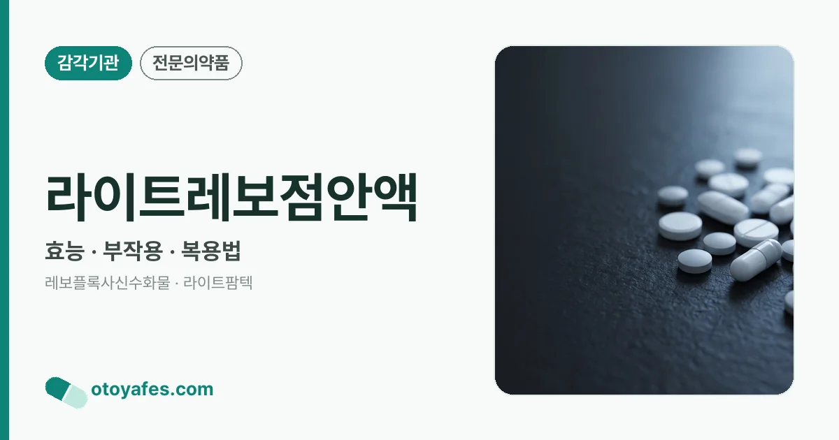 라이트레보점안액 정리 썸네일