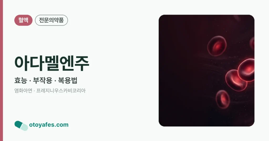 아다멜엔주 정리 썸네일