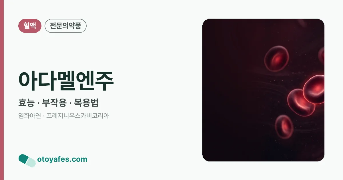 아다멜엔주 정리 썸네일