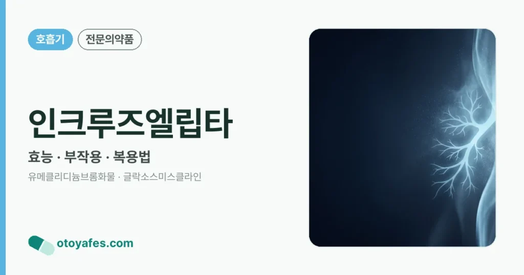 인크루즈엘립타 정리 썸네일