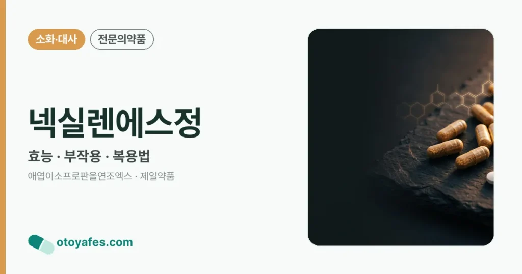 넥실렌에스정 정리 썸네일