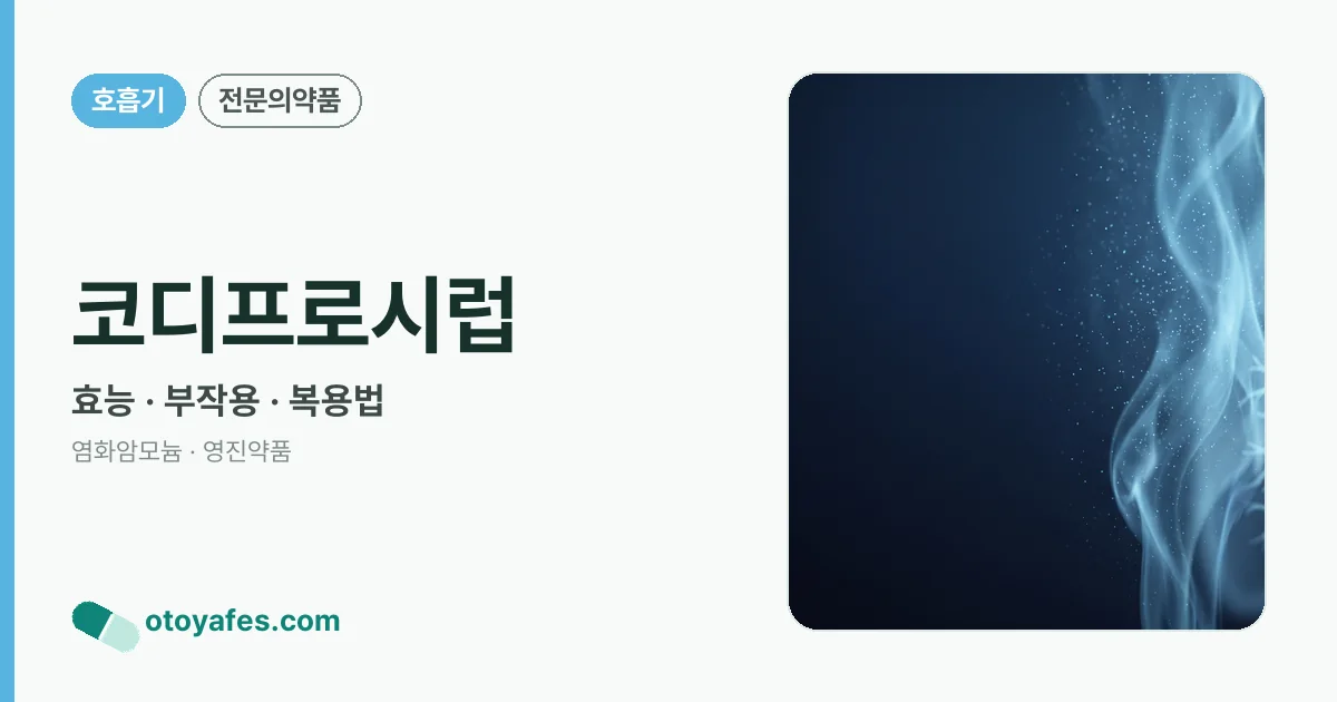 코디프로시럽 정리 썸네일