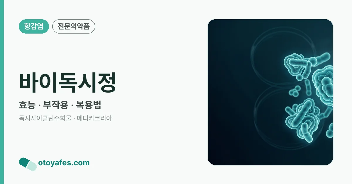 바이독시정 정리 썸네일