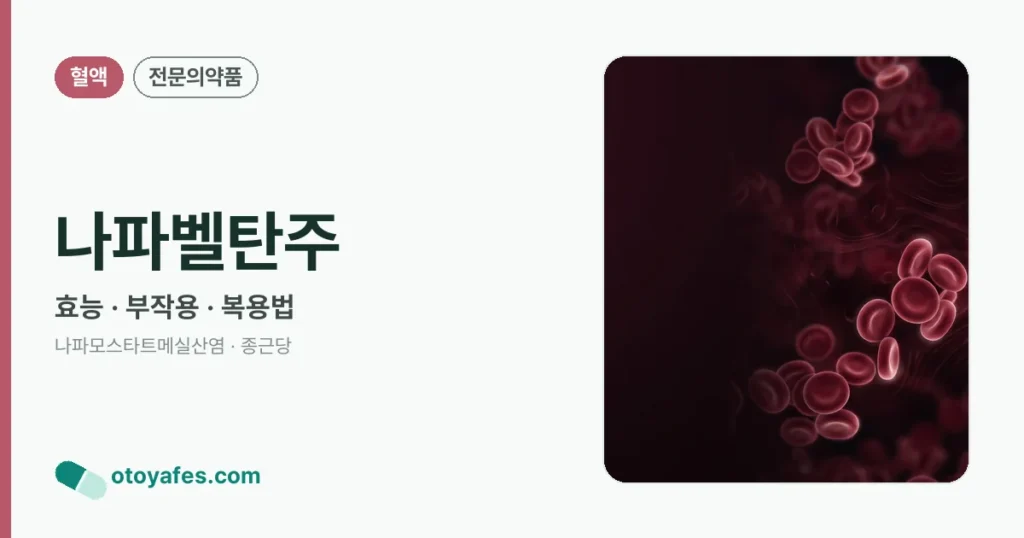 나파벨탄주 정리 썸네일