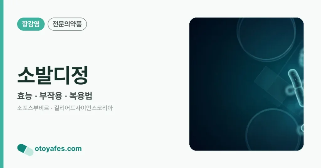 소발디정 정리 썸네일