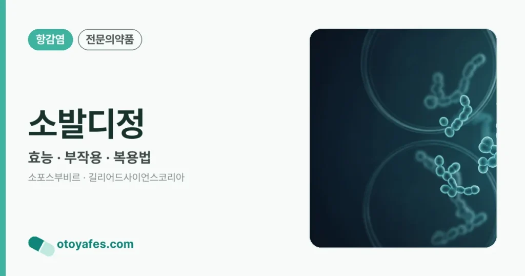 소발디정 정리 썸네일