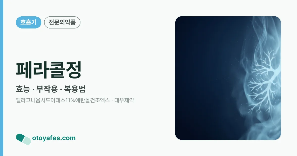 페라콜정 정리 썸네일