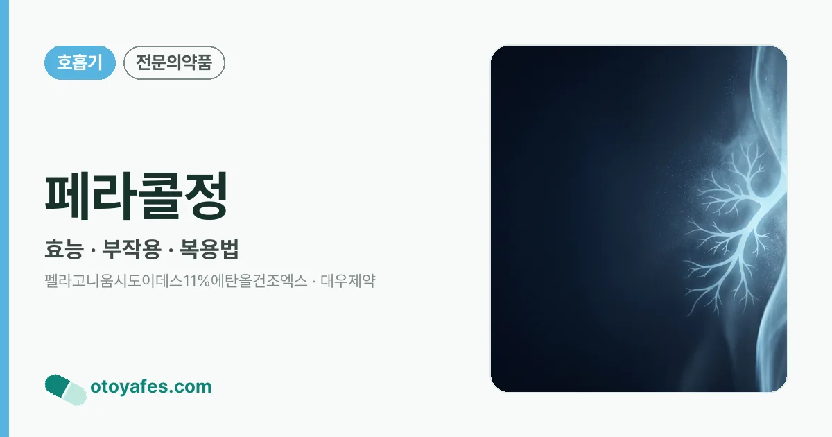 페라콜정 정리 썸네일