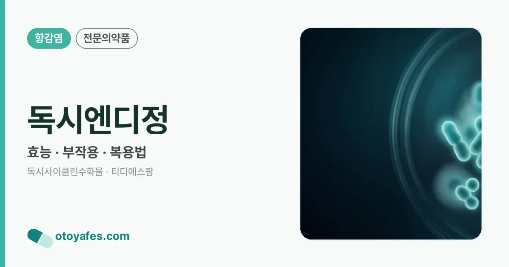 독시엔디정 정리 썸네일