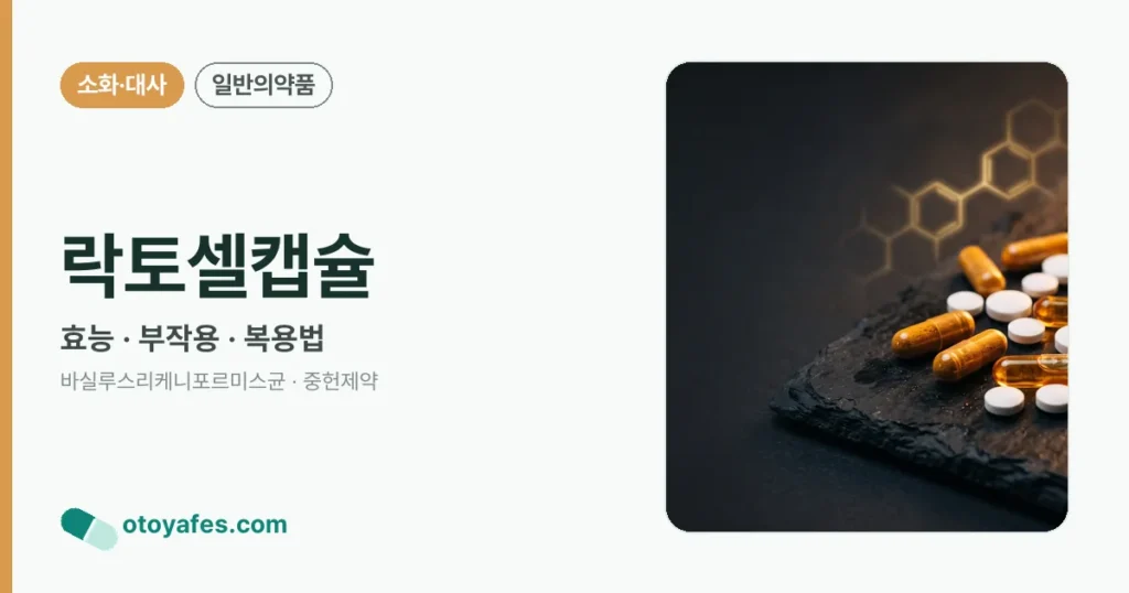 락토셀캡슐 정리 썸네일