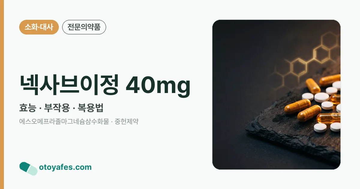 넥사브이정 40mg 정리 썸네일
