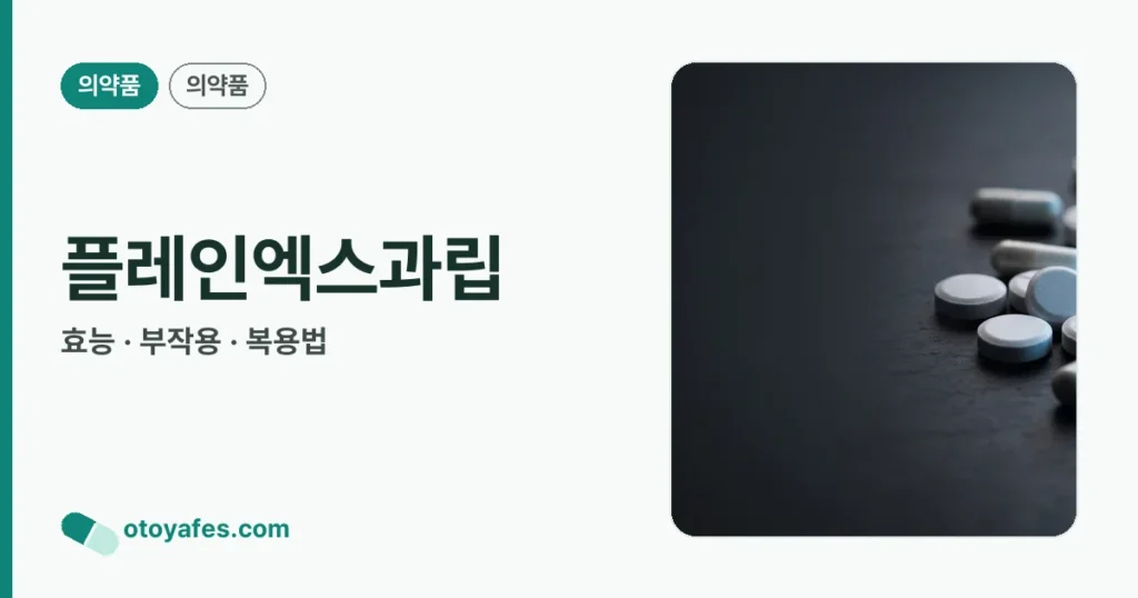 플레인엑스과립 정리 썸네일