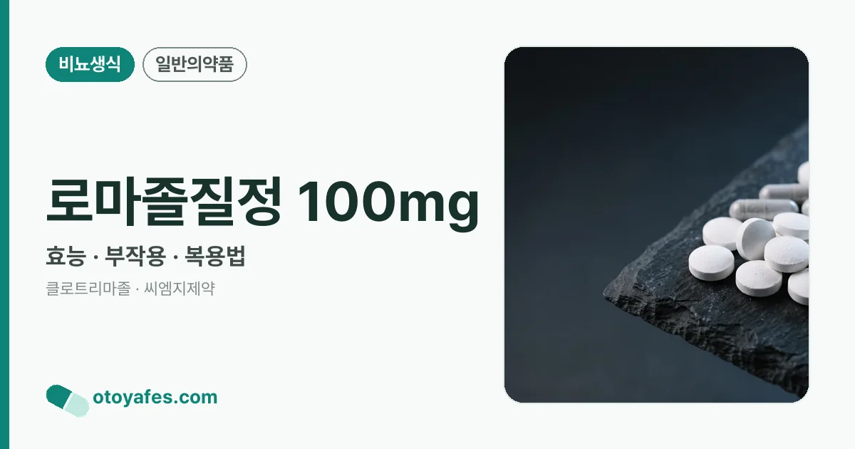 로마졸질정 100mg 정리 썸네일