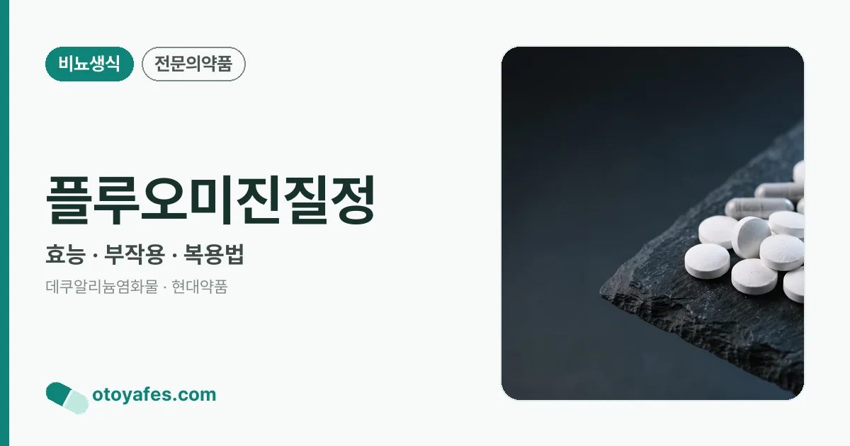 플루오미진질정 정리 썸네일