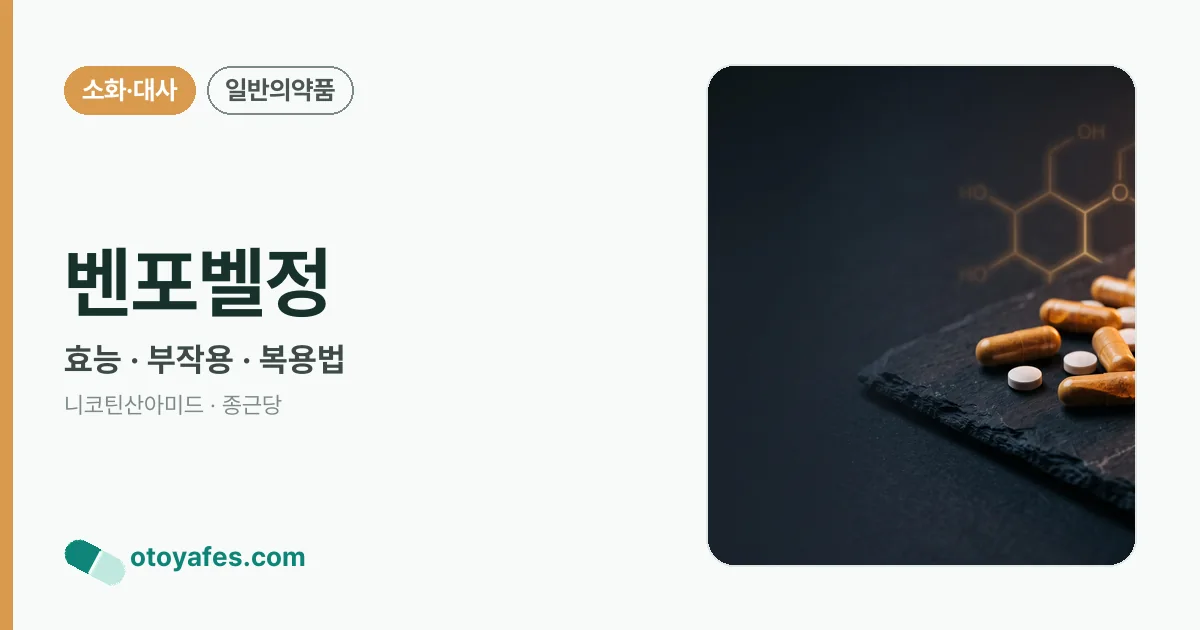 벤포벨정 정리 썸네일