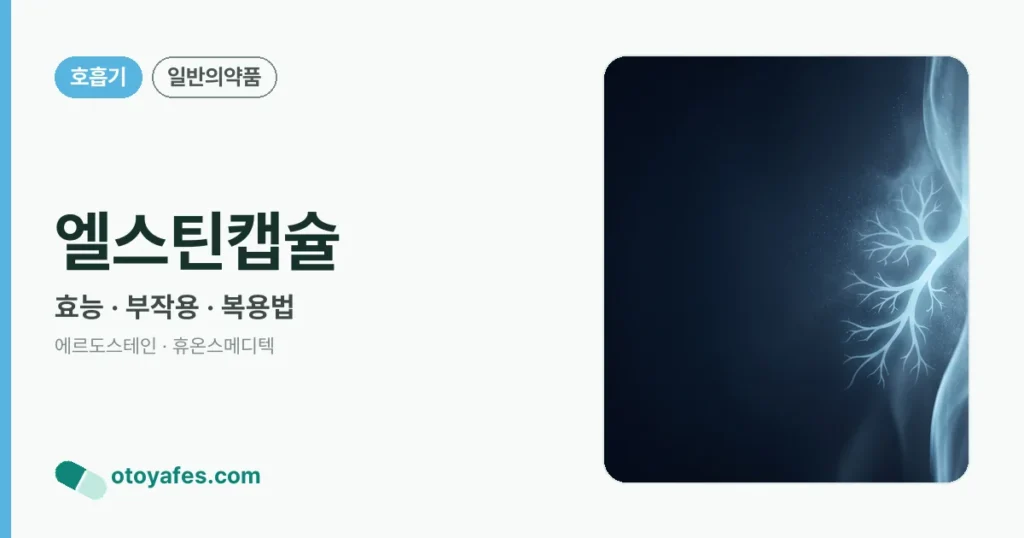 엘스틴캡슐 정리 썸네일