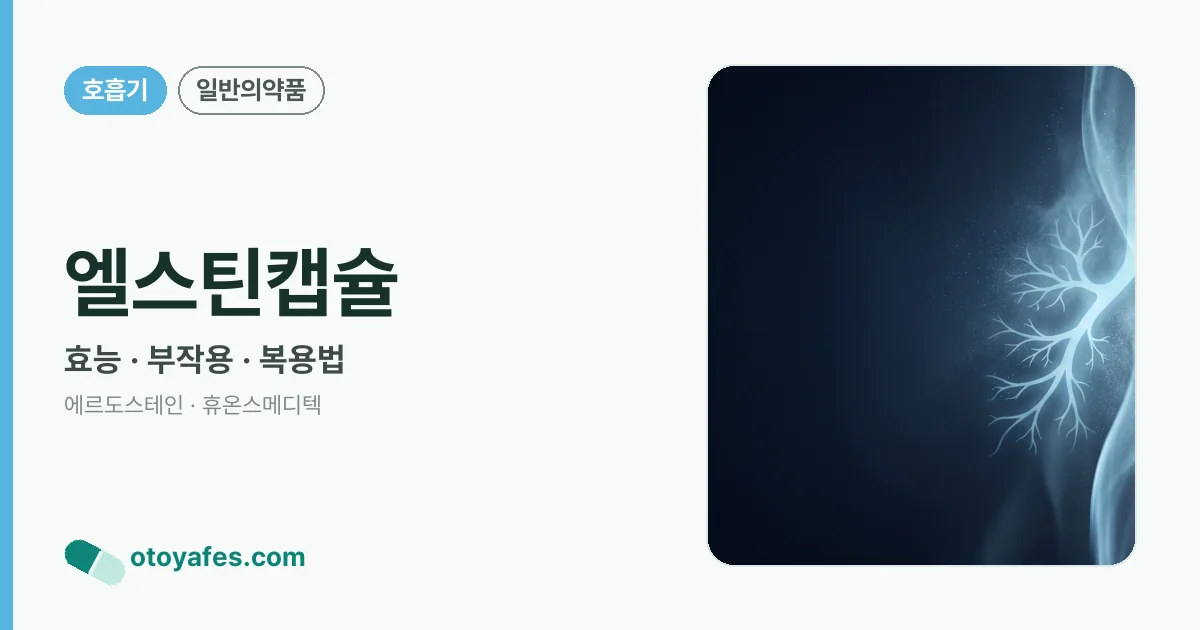 엘스틴캡슐 정리 썸네일