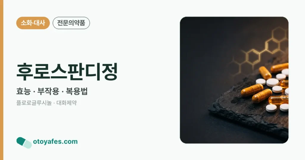 후로스판디정 정리 썸네일