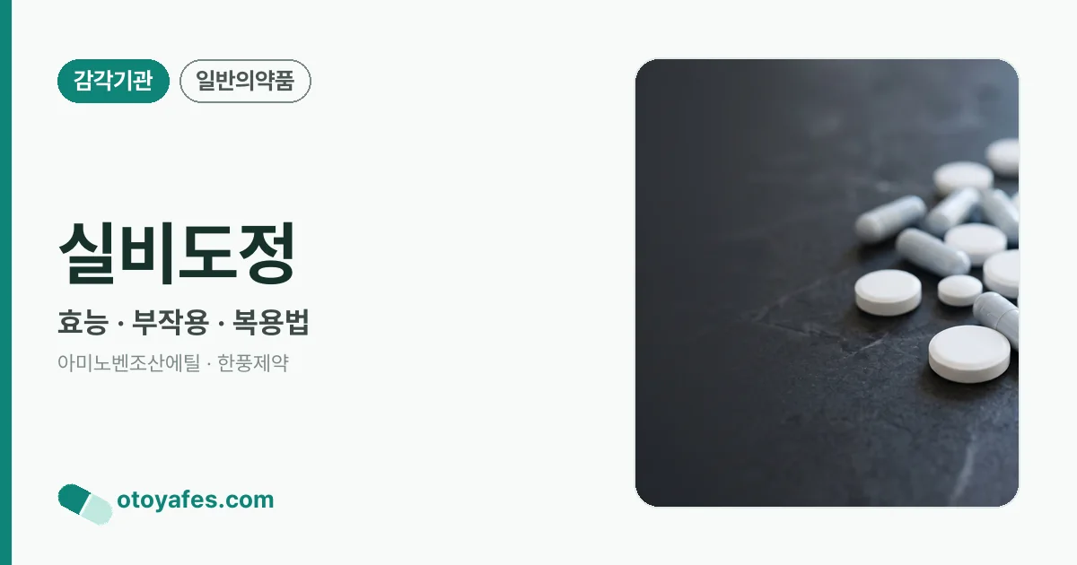 실비도정 정리 썸네일